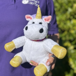 Abbycorn Teddy