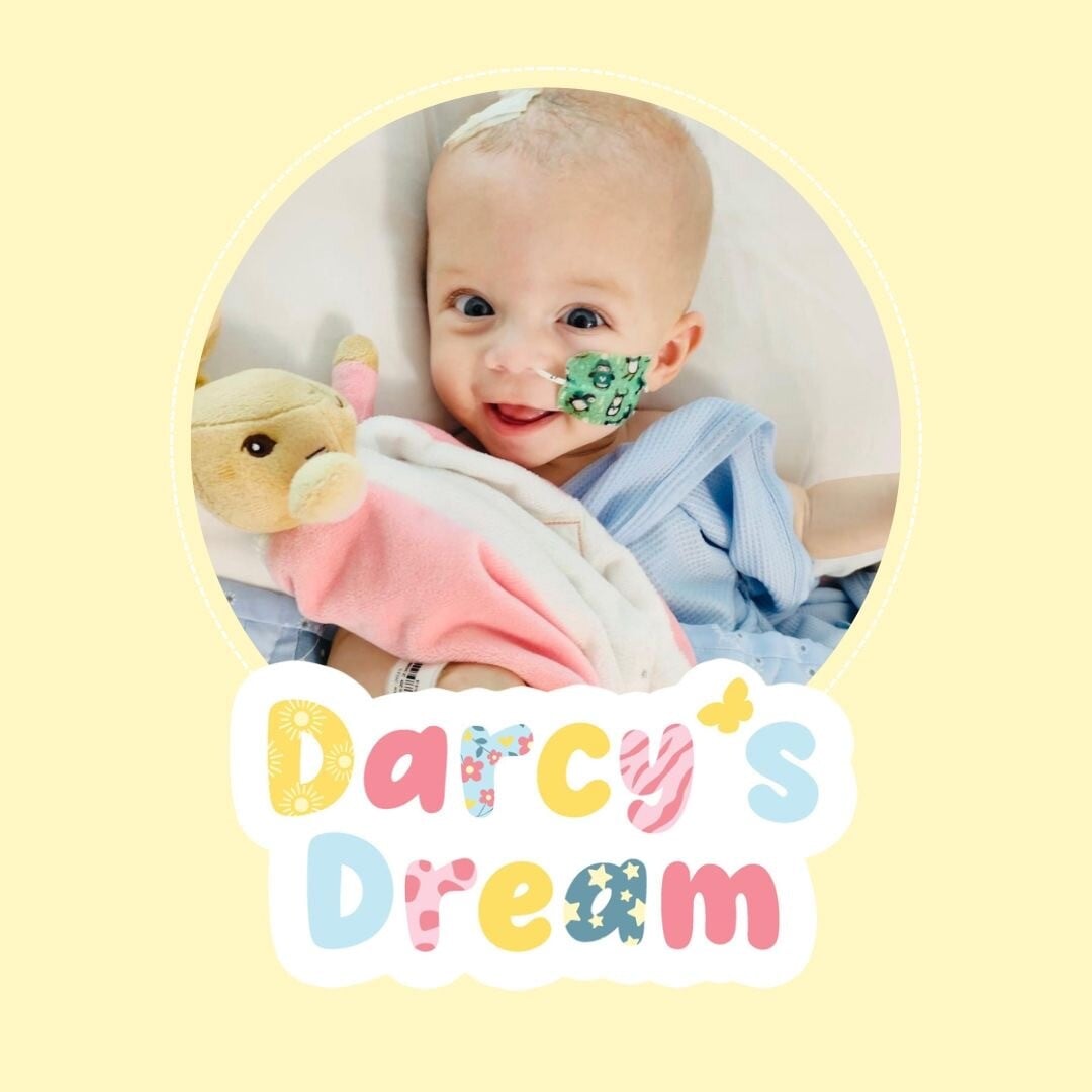 Darcy's Dream